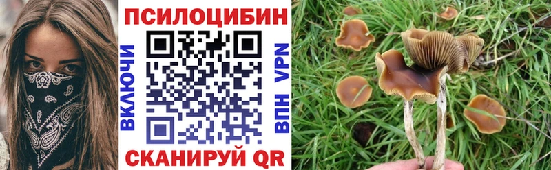 Купить где  Барыш  Псилоцибиновые грибы GOLDEN TEACHER 
